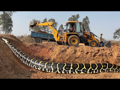 JCB 3dx Backhoe