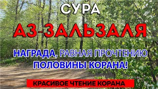 НАГРАДА, РАВНАЯ ПРОЧТЕНИЮ ПОЛОВИНЫ КОРАНА! - КРАСИВОЕ ЧТЕНИЕ КОРАНА | Чтение и смысловой перевод