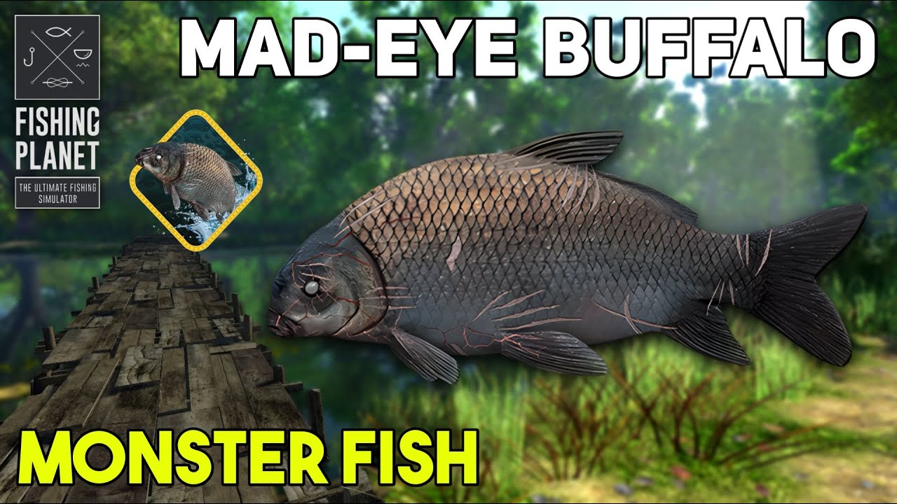 MONSTER FISH MAD-EYE BUFFALO LONE STAR LAKE - FISHING PLANET - YouTube