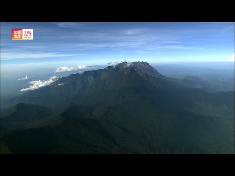 Kinabalu Park (Malaysia)