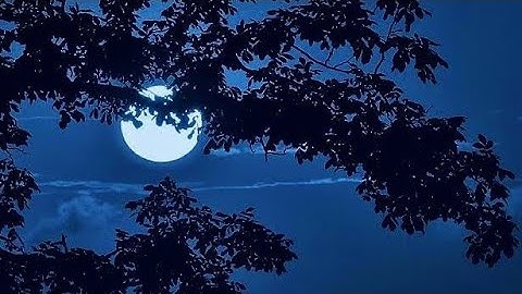 😔😞( تَعْلَمُ ما في نَفْسِي ولا أَعْلَمُ ما في نَفْسِكَ ۚ إنَّكَ أَنت عَلَّام الْغُيُوب)سورة المائدة