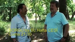 CESİ tanıtım