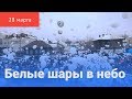 «Кемерово, мы с тобой»: сотни белых шаров запустили в небо в память о погибших