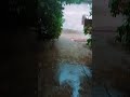 Happy rainy day#short#rainyday#virl