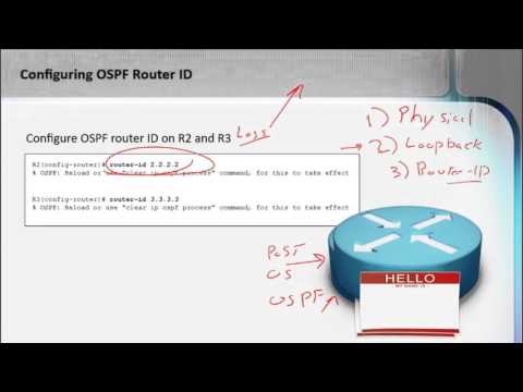 ვიდეო: რა განსაზღვრავს OSPF როუტერის ID-ს?