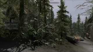Skyrim-Hearthfire Home Meets Jaxonz Positioner
