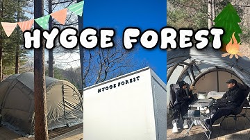 평창 휘게포레스트🏕️ 호텔급 인생캠핑장 명당추천 | B1사이트 사이즈 꿀팁 | 브런스카일TF1740 | 캠핑요리추천 등촌샤브 붕어빵만들기 바지락술찜