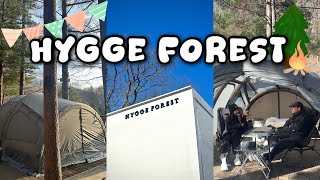 평창 휘게포레스트🏕️ 호텔급 인생캠핑장 명당추천 | B1사이트 사이즈 꿀팁 | 브런스카일TF1740 | 캠핑요리추천 등촌샤브 붕어빵만들기 바지락술찜