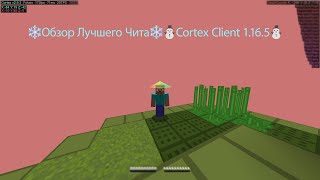 ❄Обзор Лучшего Чита❄⛄Cortex Client 1.16.5⛄ ❄Обзор Лучшего Чита❄⛄Cortex Client 1.16.5⛄