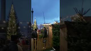 Новый год в Лондоне!🎄