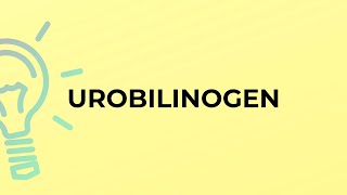 What Is The Meaning Of The Word Urobilinogen?