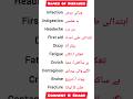 10 Daily use English to Urdu words -38 | English kaise sikhe