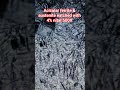 ❣️Material engineering inside material❤️#metallurgy#microstructure #viralshot #steelmicro