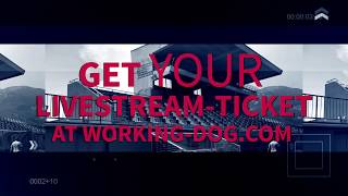 FMBB World Championship 2018 // Slovenia screenshot 1