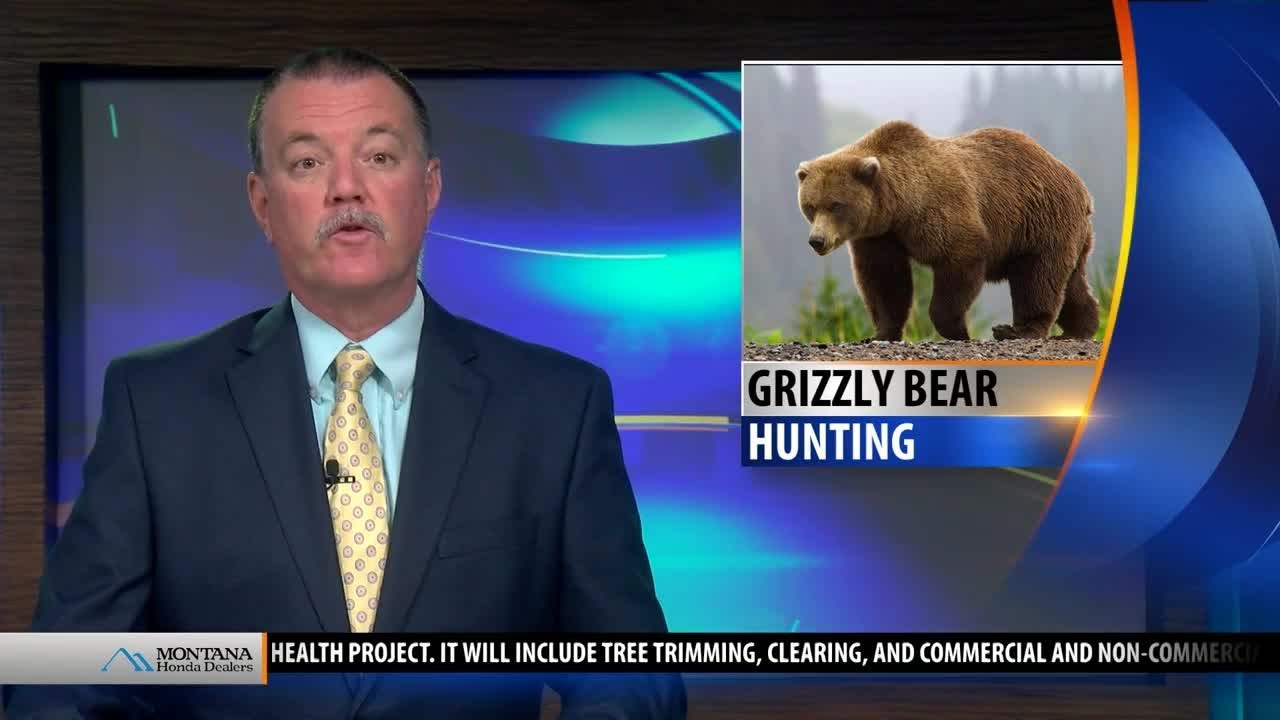 Judge temporarily blocks grizzly hunts in Idaho and Wyoming