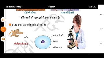 doe worksheet solution ( 07-09-2021 ) class - 7th / science worksheet - 15 solution / विज्ञान