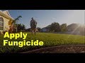 Lawn Fungicide Applications | Disease Control for Lawns