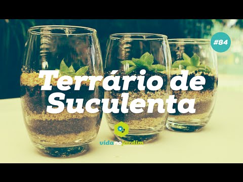 Como fazer terrário de suculenta