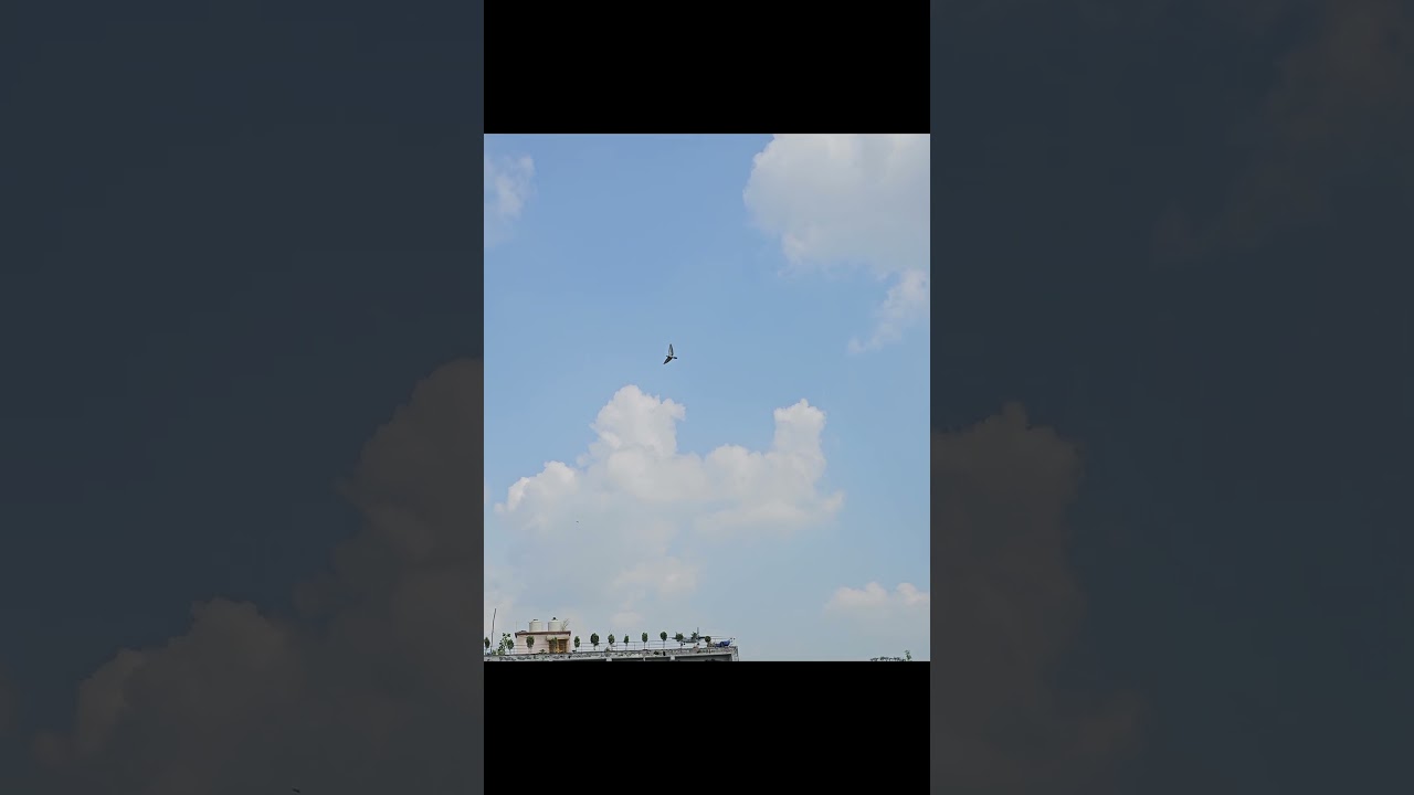 Indian Air Force Aircraft Antonov An-32RE Video |