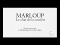 Ref:JAXY6lGK_sE Marloup - le chat de la sorcire