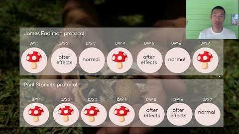 Microdosing Psilocybin 101 -- Intro to Microdosing Magic Mushrooms