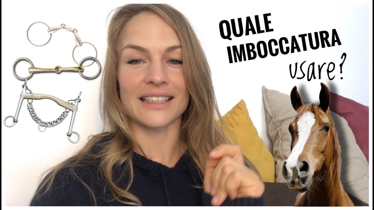 EQUITAZIONE - LE IMBOCCATURE 🐴 prima parte (1)