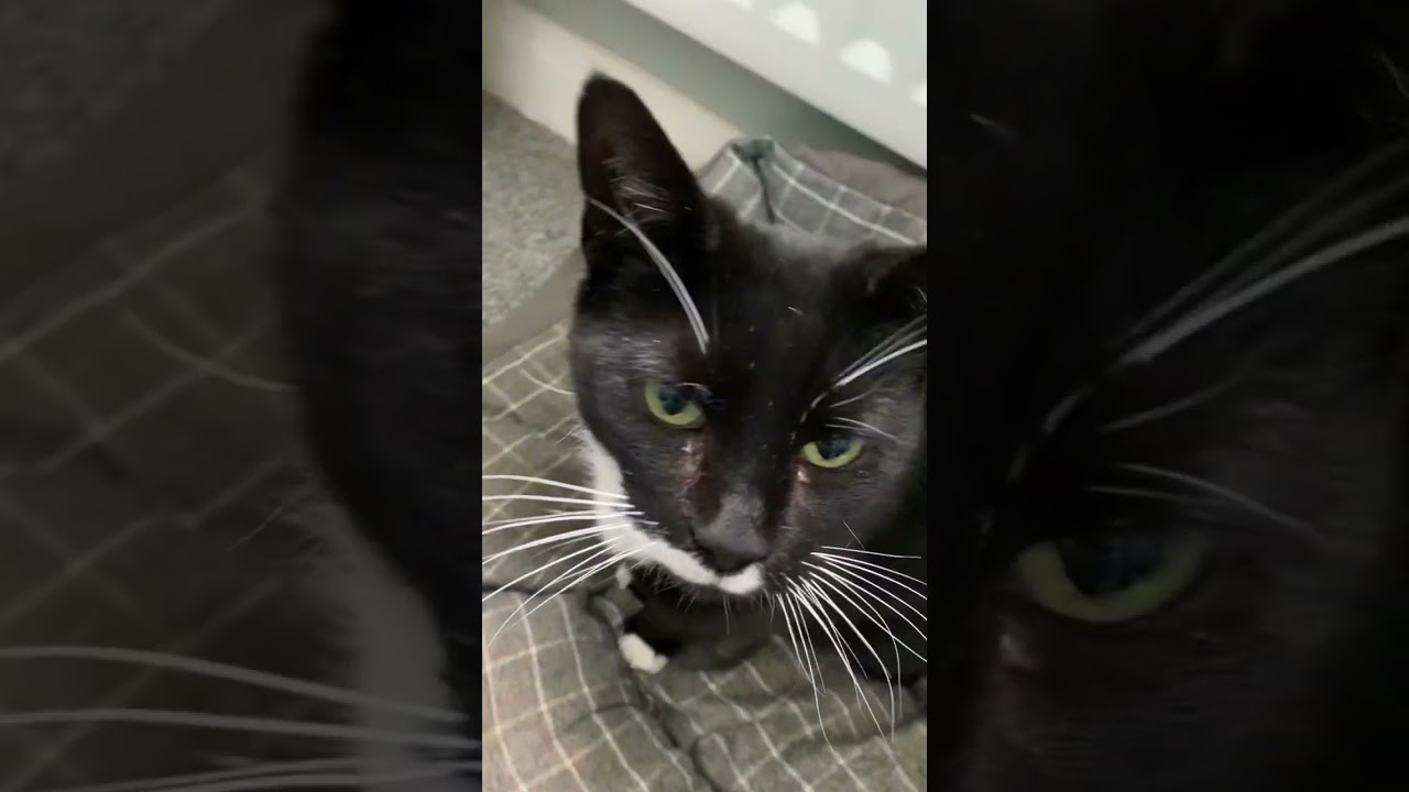 will it work? ❤️