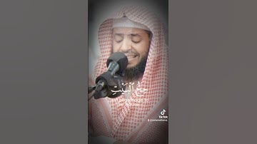 سورة آل عمران بصوت القارئ الشيخ وديع اليمني #القران_حياتي