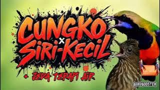 MASTERAN TEMBAKAN PEDAS! CUNGKO MIX SIRI-SIRI   JEDA TERAPI AIR