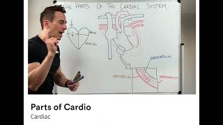 Parts of cardio