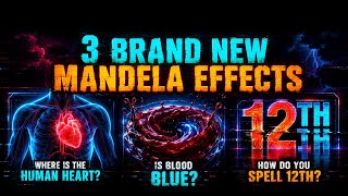 😱 3 BRAND NEW Mandela Effects... #mandelaeffect 