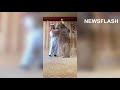 Saudi man raises bear and lions like pets