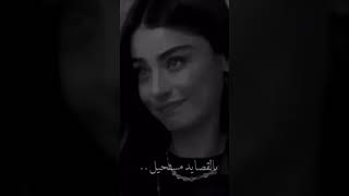 مالك بعيني شبيه