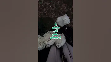 ياسنيني الي رحتي ارجعيلي فيروز 