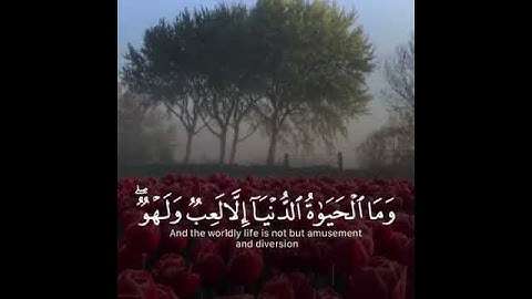 وما الحياه الدنيا الالعب ولهوُ  احمد النفيس سورة الانعام الايه 32(480P)
