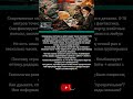 Космос и технологии как это устроено  ‎#Космос #Технологии #Спутники #Наука #Будущее‎