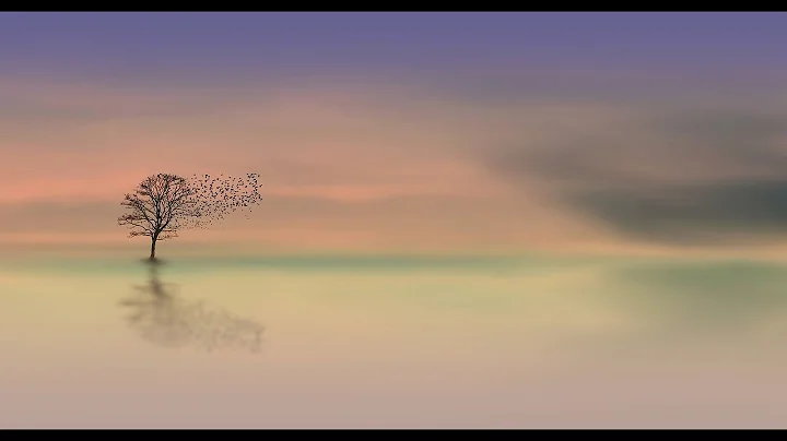 Chinsagu No Hana_Elizabeth Drake_Japanese Story 2003