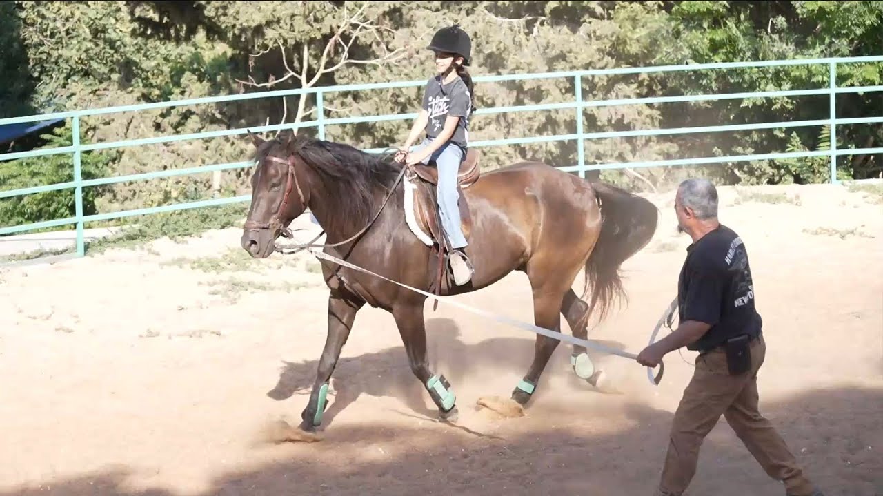 כוח סוס: ילדי נחל עוז מעבדים את הטראומה דרך רכיבה טיפולית