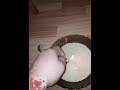 Не ожидал такого результата! #music #saddturh #30% #meme