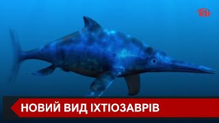 Науковці підтвердили, що виявили новий вид давніх іхтіозаврів