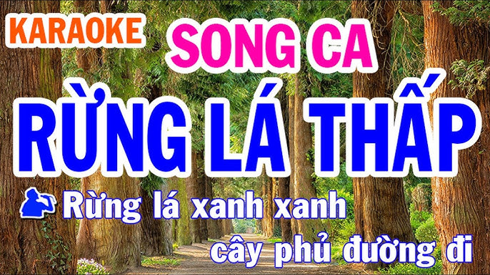 Rừng Lá Thấp Karaoke Song Ca Nhạc Sống - Phối Mới Dễ Hát - Nhật Nguyễn