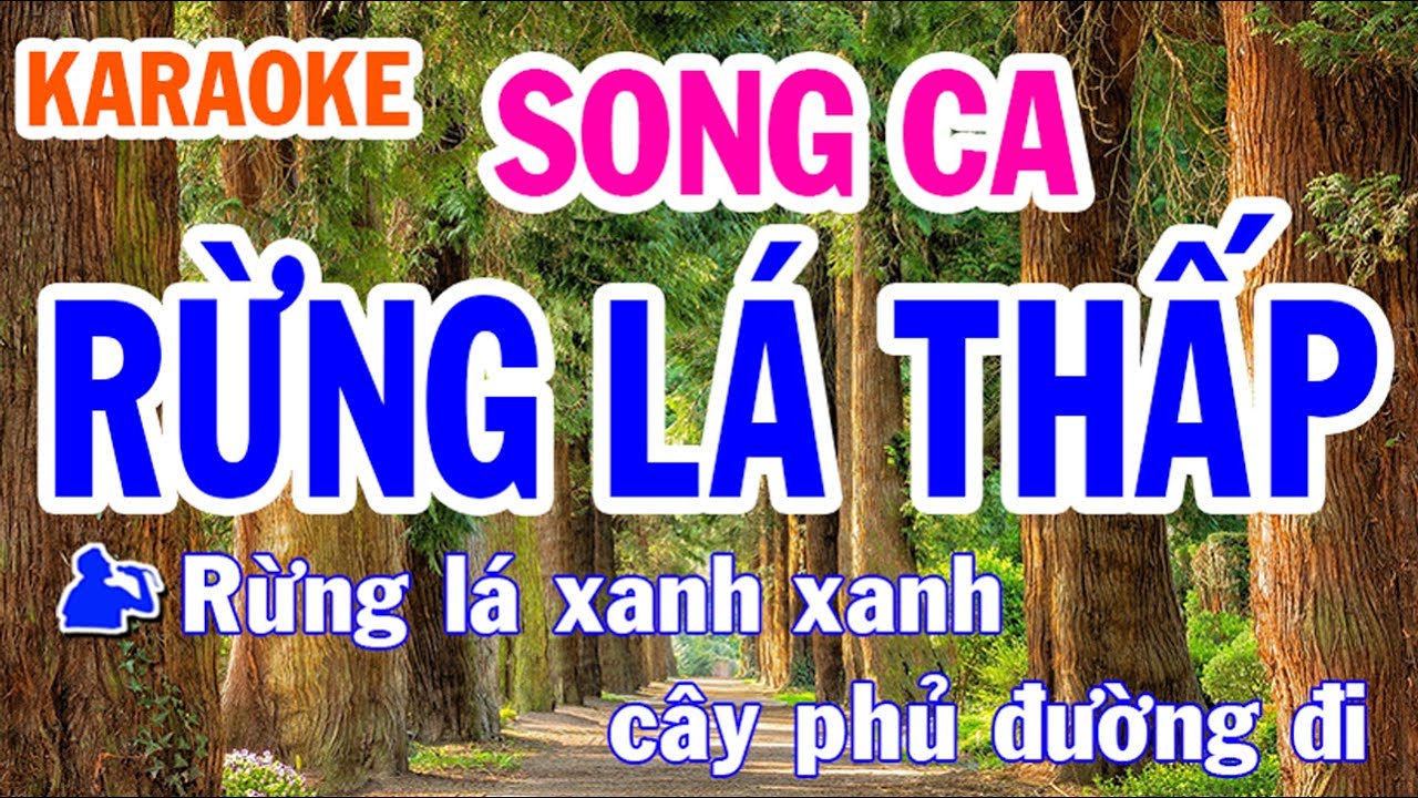 Rừng Lá Thấp Karaoke Song Ca Nhạc Sống Phối Mới Dễ Hát Nhật Nguyễn