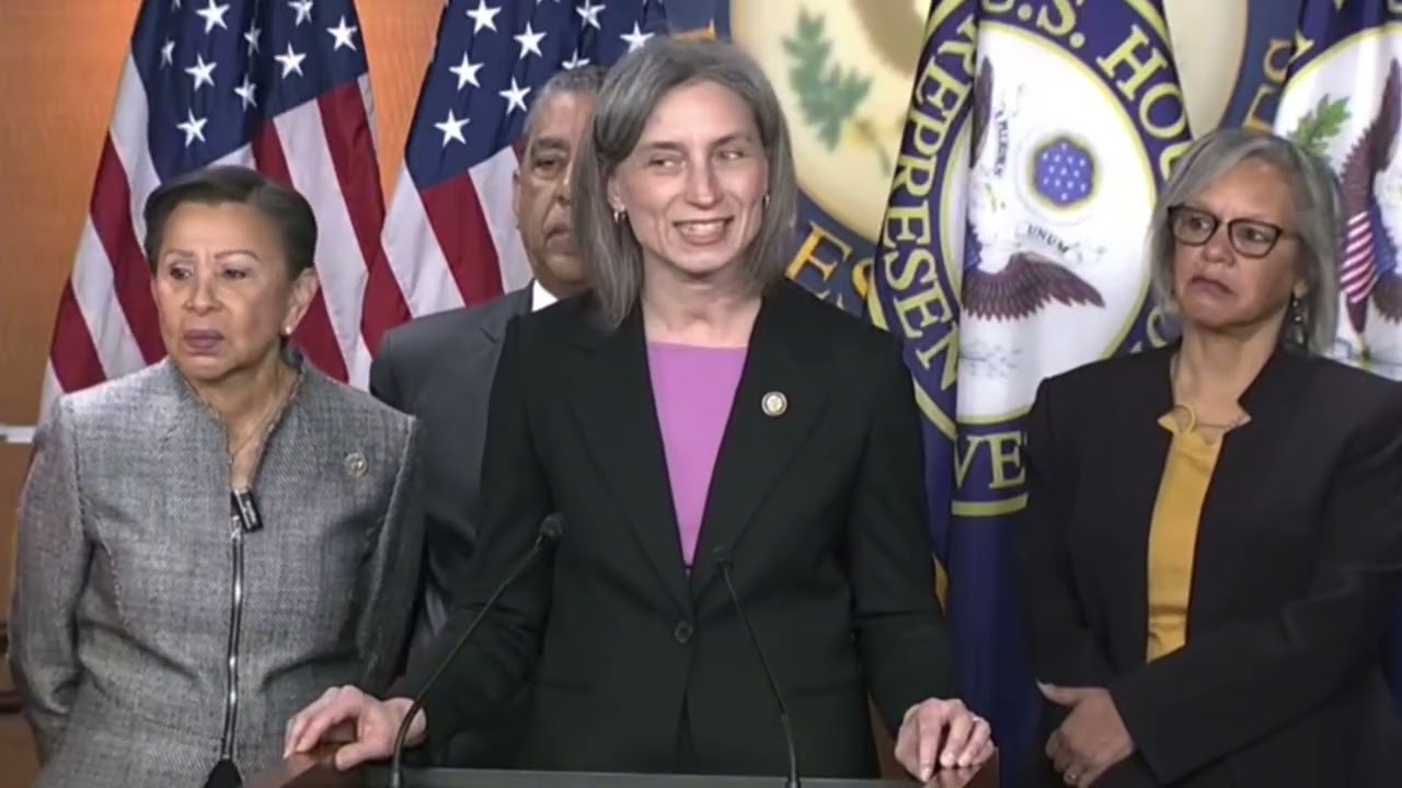 Член палаты представителей Робин Келли выдвинула обвинения в импичменте против Кристи Ноэм.