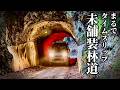 未舗装林道で悪路走破性を実感!リフトアップ軽バンで攻めてきた♪