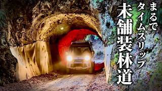 未舗装林道で悪路走破性を実感!リフトアップ軽バンで攻めてきた♪