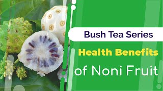 Health Benefits of Noni | Noni Fruit Juice Benefits | Bush Tea Series | Jamaican Things