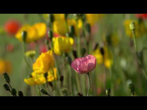 ????????????????????????????????