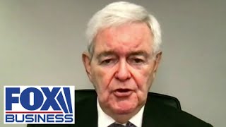 Newt Gingrich: There is a long history of the UN siding with terrorists