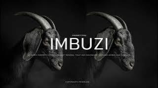 [FREE] Usimamane x Tony Dayimane Type Beat - 'IMBUZI' | 2024 | #Lord Script | #Qwellers