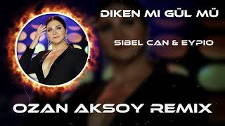 Sibel Can & Eypio - Diken Mi Gül Mü ( Ozan Aksoy Remix ) Resimi
